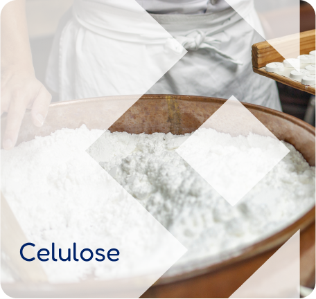 celulose.png